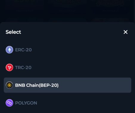 betfury network selector showing ERC-20, TRC-20, BNB Chain and Polygon options