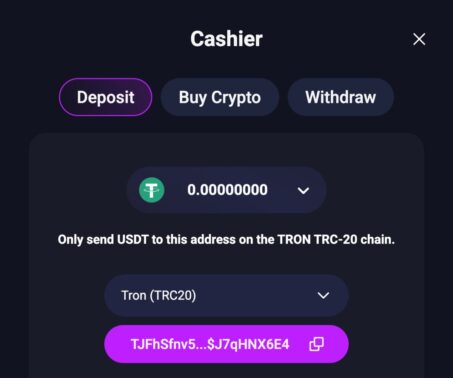 metaspins casino cashier showing usdt deposit address on tron trc20 network
