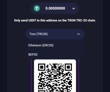 metaspins casino usdt deposit network selector with tron erc20 and bep20 options