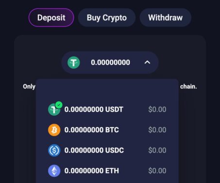 metaspins casino deposit cashier with crypto balance dropdown