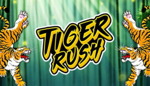 Tiger Rush Slot