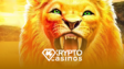 Afrika Slots - getestet von kryptocasinos.com