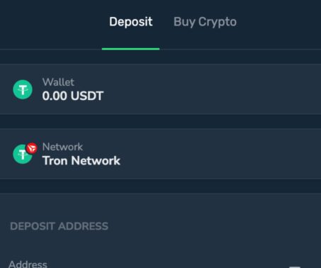 winz.io deposit screen showing usdt selected on the Tron network with the network selector