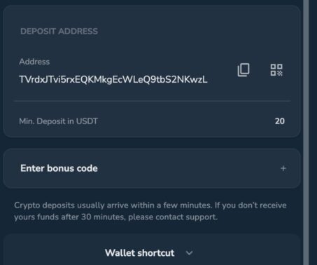 winz.io deposit address and QR code for a usdt deposit