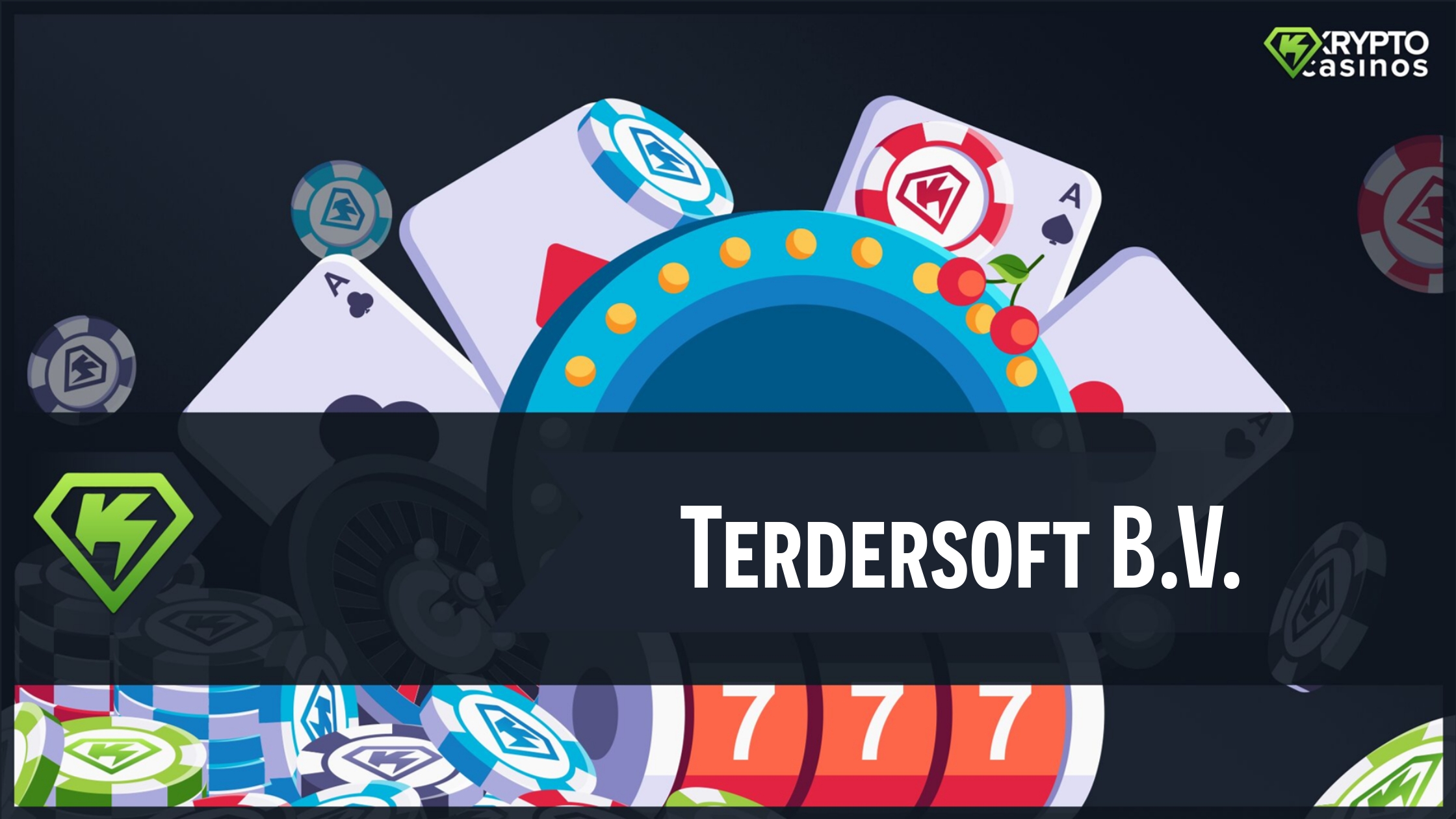 terdersoft bv featured image