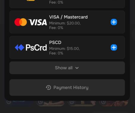 mr punter deposit menu showing visa, mastercard and show all button