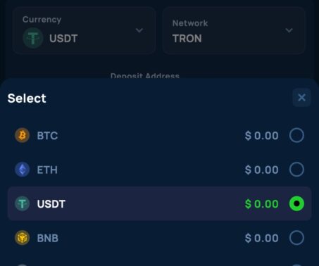 cybet cashier currency selection menu with usdt selected