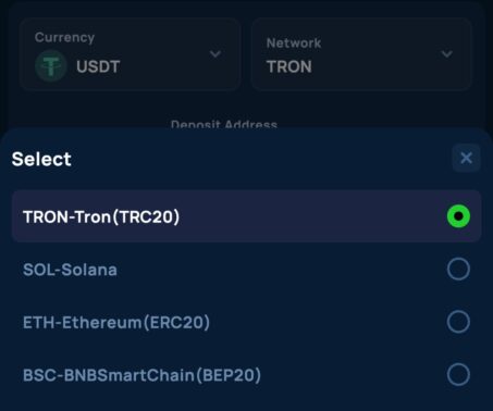 cybet cashier network selection menu showing tron, solana, ethereum, and bnb smart chain options
