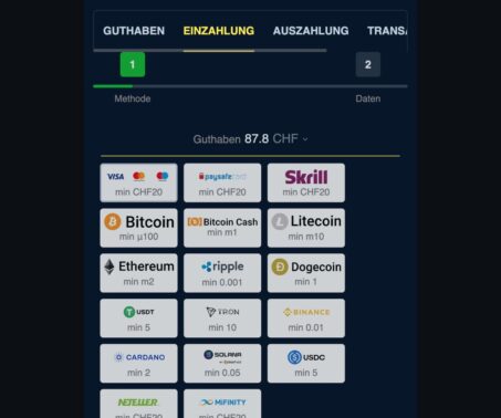 Das Bild zeigt die Auswahl an Zahlungsmethoden bei Winz.io