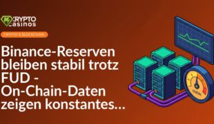 Serverrack-Cluster neben Analog-Stabilitätsanzeige und Flachbildmonitor mit stabilem Liniendiagramm auf schwarzem Hintergrund.