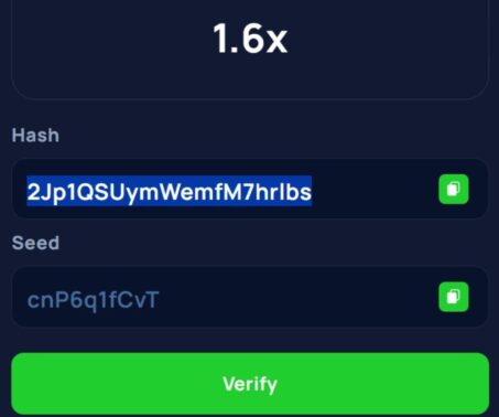 screenshot showing hashed version of the server seed at Cybet