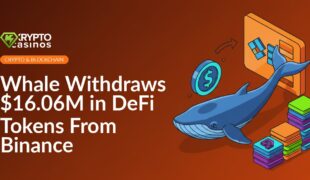 A giant blue whale with a digital wallet swims above floating Binance and DeFi token icons against a dark background.