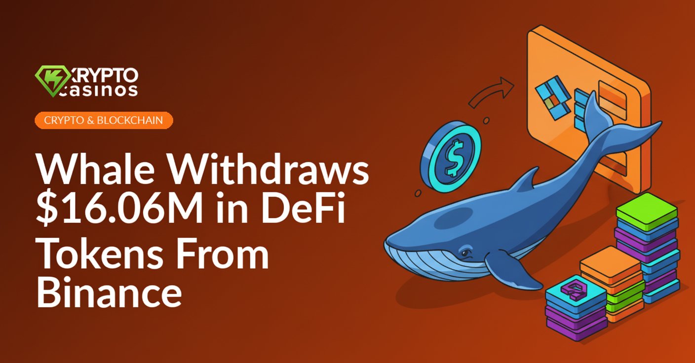 A giant blue whale with a digital wallet swims above floating Binance and DeFi token icons against a dark background.