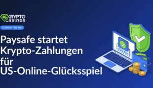 Isometrischer Laptop mit Zahlungsbildschirm, digitaler Geldbörse mit Münzen und Karte, Schild mit Häkchen daneben.