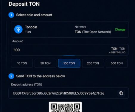 Das Bild zeigt, wie Toncoin aus der eigenen Wallet gesendet wird