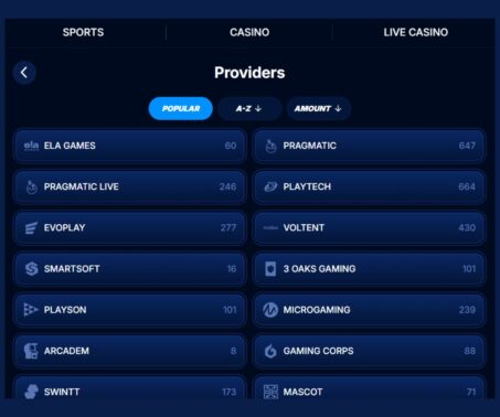 How-to screenshot showing the game providers lobby at Boomerang Bet