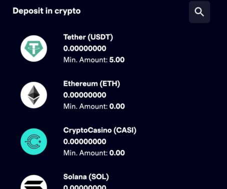 cryptocasino deposit in crypto page with usdt and other coins