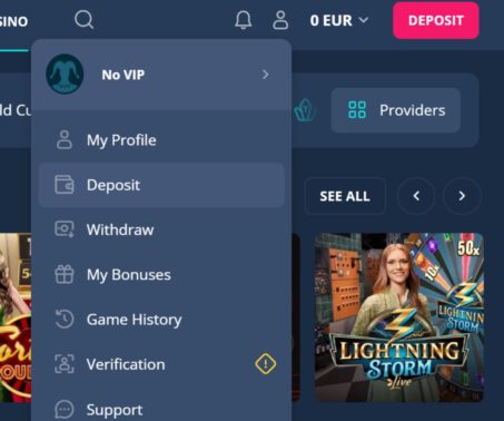 Platin Casino account menu showing Deposit, Withdraw, My Bonuses, Game History, Verification, and Support options