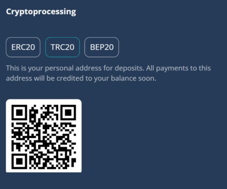 Platin Casino cryptoprocessing deposit window with ERC20, TRC20, and BEP20 network selection for USDT