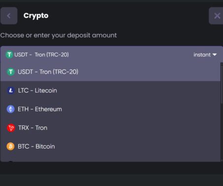 How-to screenshot showing the cryptocurrencies available for deposits at Spinline