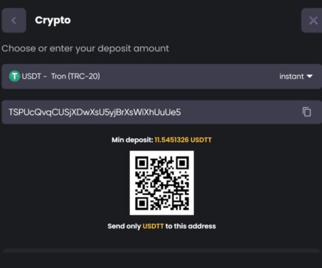 How-to screenshot showing the USDT deposit address at Spinline