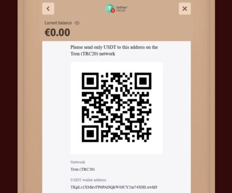 how-to-screenshot showing the network and USDT wallet address at Stonevegas
