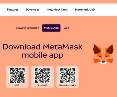 Screenshot showing MetaMask as one of the crypto wallets that can be used to deposit at Velobet.