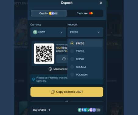 screenshot showing the FortuneJack cashier and the available networks