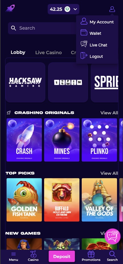 The image shows the funds have arrived at the Crashino account
