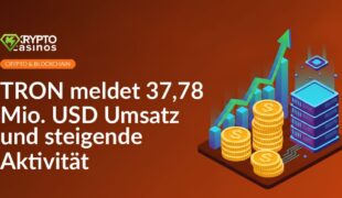 Gestapelter Münzstapel mit aufsteigendem Pfeildiagramm neben leuchtendem Server mit vernetzten Knotenpunkten.