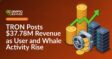 Stack of gold coins, upward arrow chart, server racks, and secure vault filled with coins on a dark background.