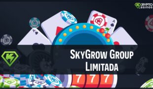 skygrow group limitada featured image